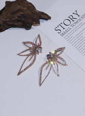 钻花朵夸张女大耳环耳饰Earrings