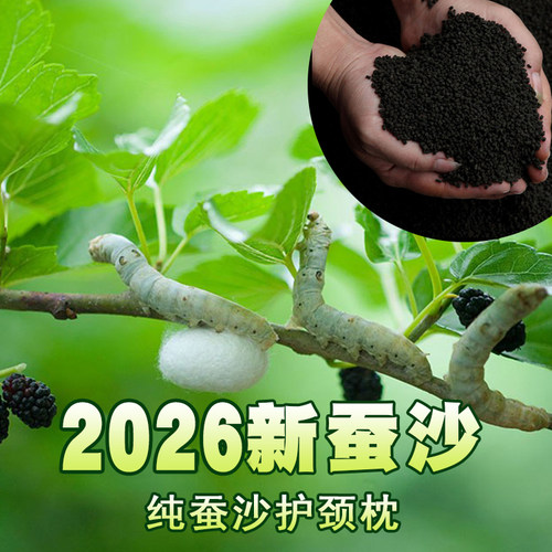 26年纯纯蚕砂枕 蚕沙蚕屎枕芯颈椎枕婴儿定型枕 硬枕头蚕沙颈椎枕 - 图0
