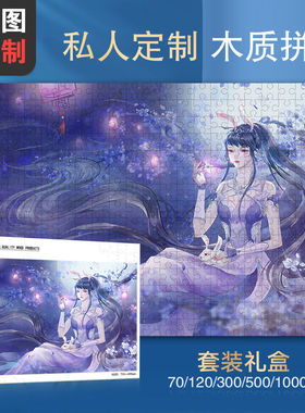 斗罗大陆小舞盒装1片木质
