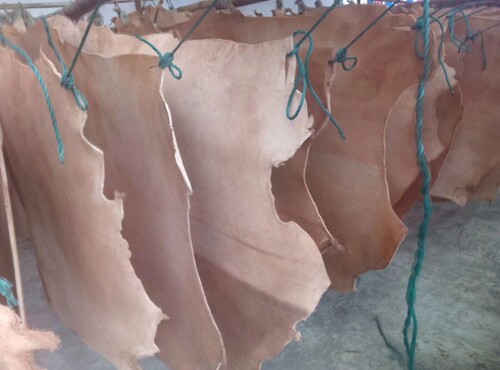 脚踩踏家用老式衣缝纫机牛皮带牛筋飞人蜜蜂华南蝴蝶上海配件大全 - 图2