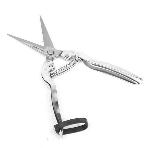 台湾花枝剪摘果剪疏果剪采果稀果剪葡萄剪枸杞疏花剪刀修枝剪 - 图2