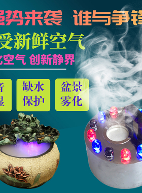 假山彩灯水族造景和小和喷雾化器