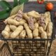 Star Pie Shelled Garlic Longyan Peanuts Farm New Nuts Roasted Seeds Casual New Year Snacks Boiled Wet Roasted Appetizers