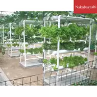 水耕栽培机 新人首单立减十元 21年8月 淘宝海外