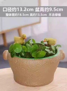 铜钱草陶瓷水培花盆绿萝水养植物花卉玻璃鸭子花瓶容器碗莲荷花