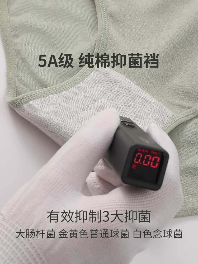  黛尔佳人女三角裤