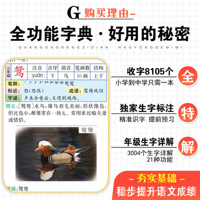 正版21年最新版小学生专用多全功能大字典彩图大字本工具书大全1 6年级笔顺规范组词造句近义和反义新华成语词典儿童人教版字典 虎窝淘