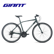 Giant Teant Escape 3 Adult Mens City Leisure commute 21 Speed Fitness Pine the road bike