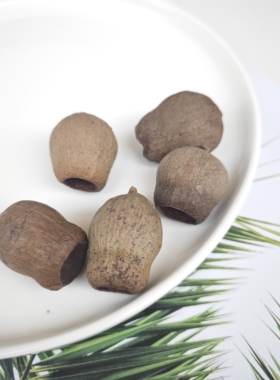 天然植物果子diy标本相框制作材