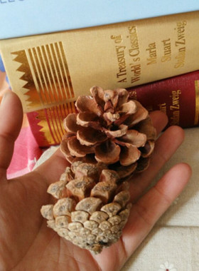 松果圣诞节装饰摆件干花手工松球