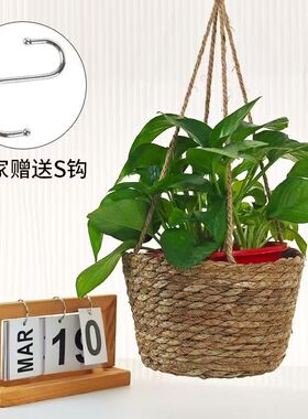 藤编织草吊篮式花盆绿萝挂