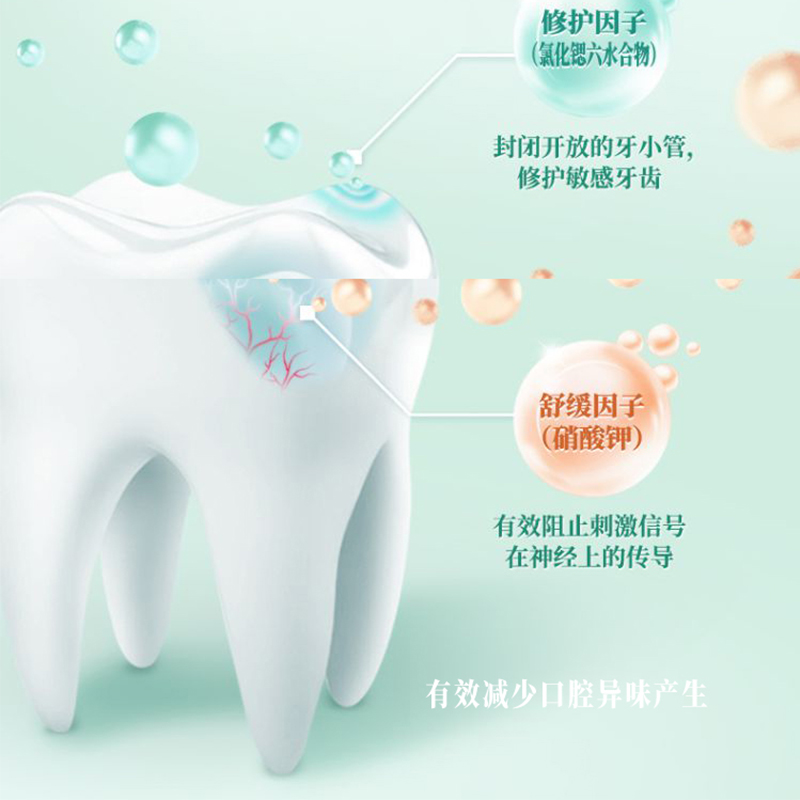 冷酸灵牙膏国博益生菌清新口气口腔抗牙本质牙齿敏感牙膏组合装 - 图1