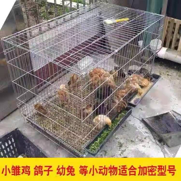 鸡笼子家用养殖笼折叠带蛋托粗加密兔子笼室外大号鸽子专用铁丝网 - 图3