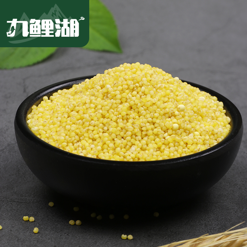 九鲤湖旗舰店九鲤湖 黄小米 1kg 山西小米粗粮杂粮小黄米粥粟米粮油五谷干货2