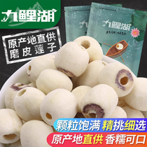 Vacuum Mount] Grade 1 mill leather lotus seed large white lotus seed without core lotus seed to core white lotus seed Jiangxi Tongjianlian dry goods