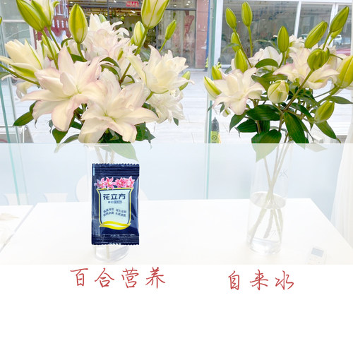 花立方百合营养粉鲜花保鲜剂百合专用剑兰芍药雀梅天鹅绒水养鲜花 - 图0