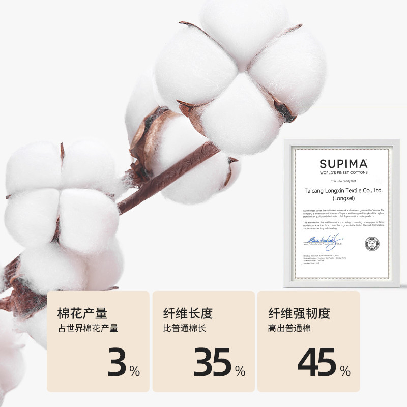 都市丽人锌离子抗菌丝滑匹马棉内裤 都市丽人女三角裤