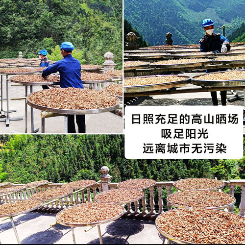 柴火九蒸九晒姜粉纯瑶山小黄姜粉非云南罗平食用熟干老生姜粉冲饮 - 图2