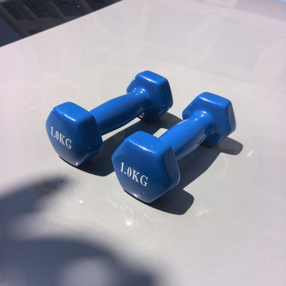 Pure iron-impregnated plastic dumbbells small dumbbells for arm training students