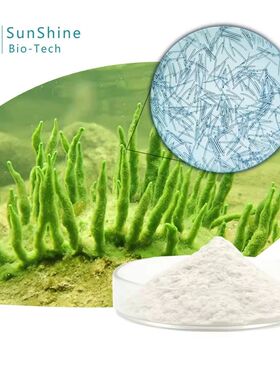 70% Sponge Microcrystal Freeze-dried Powder Seaweed 绿膜海绵