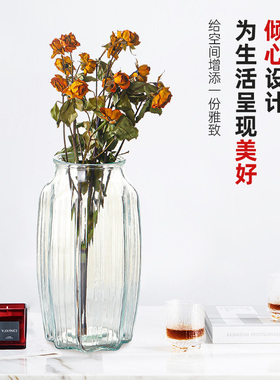 【两件套】花瓶ins风玻璃插花瓶
