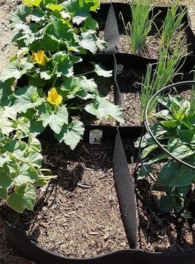 美植袋加厚种植袋蔬菜花箱毛毡分体式种植种植盆无纺布多格长方形
