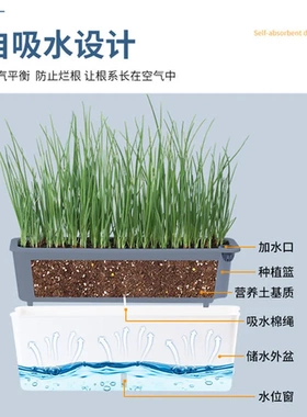 窗窄长方形种菜盆自吸水挂式花盆长条形阳台欧林泽花盆