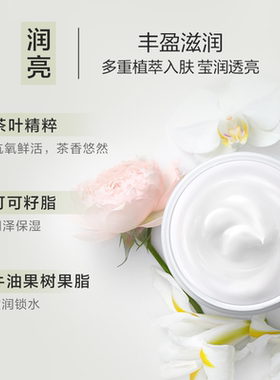 雅顿白茶身体霜保湿香氛