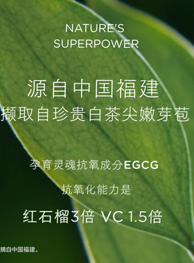 雅顿白茶新肌水滋养保湿