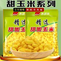 Western Wind Fish Bait Rice Teething Fresh Corn Fresh Corn Bagged Corn Bagged Crucian Carp Bream Corn Fishing Bait Bottom Nest Stock