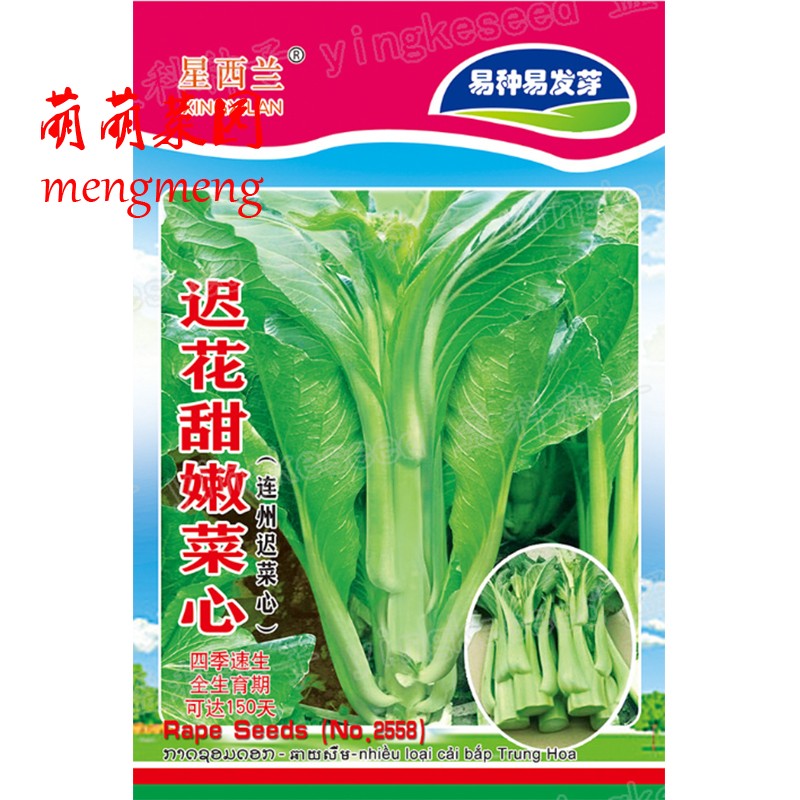 连州甜菜心种子多芽甜心迟菜心油菜苔高脚菜心秋季播农家蔬菜种孑-图3