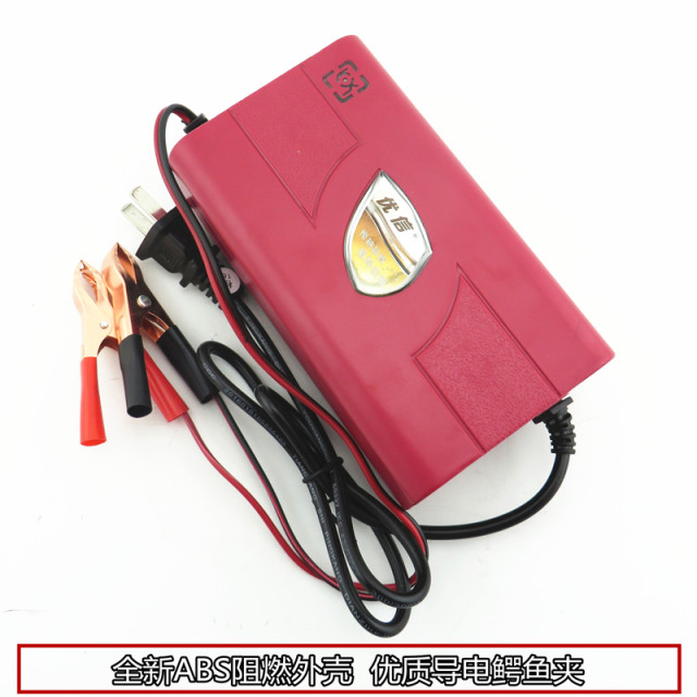Youxin 12V electric vehicle battery smart charger