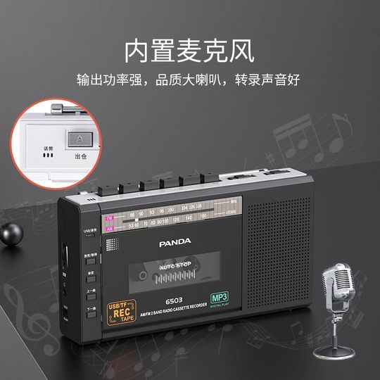 Panda Micro Portable Voice Recorder