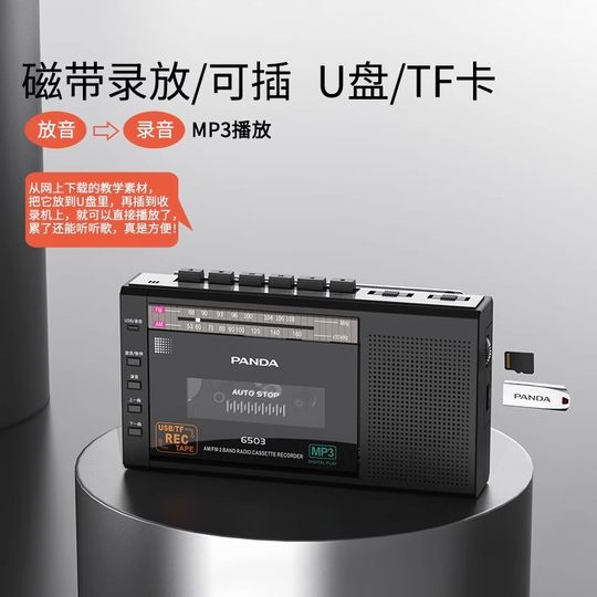 Panda Micro Portable Voice Recorder