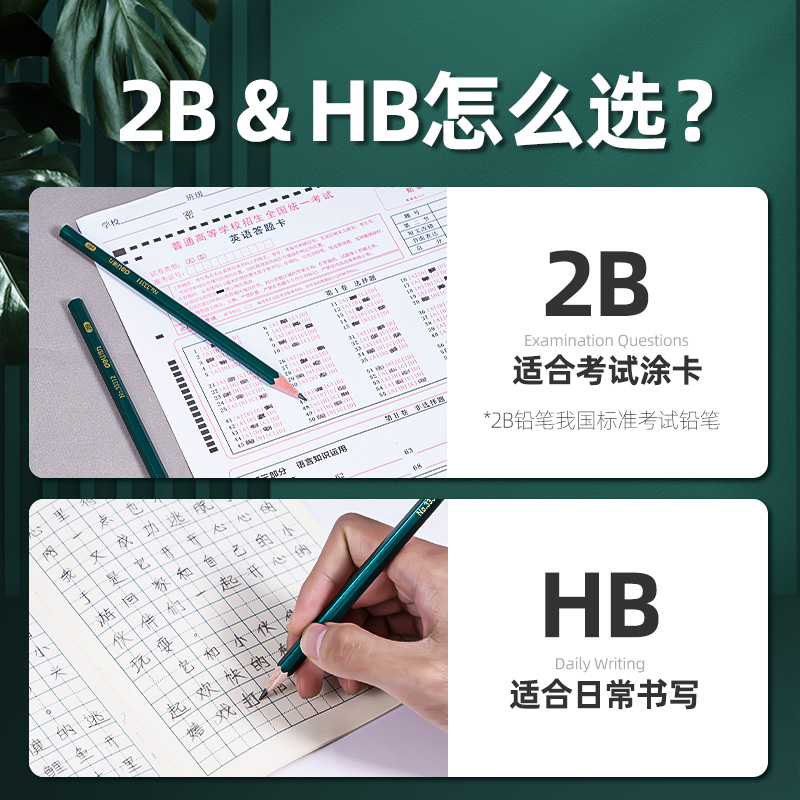 得力100支装铅笔小学生无毒2比hb儿童幼儿园用2b铅笔考试素描绘画 - 图2