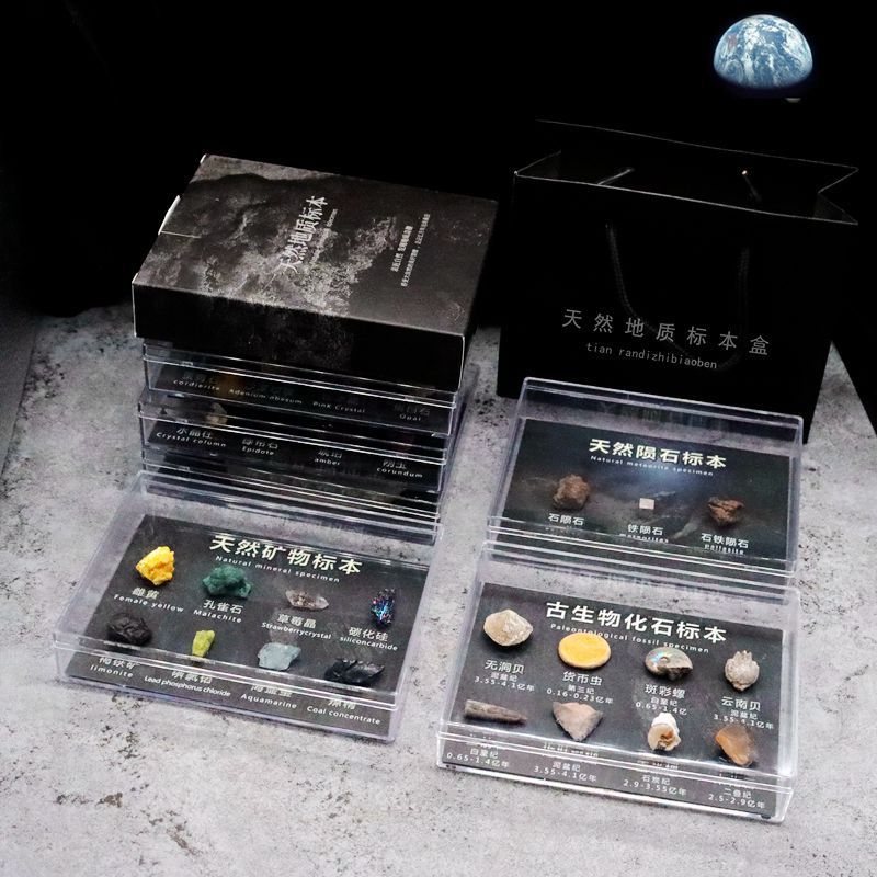 天然化石矿石陨石牙齿植物狼鳍鱼昆虫古生物化石科普教学标本摆件,淘宝优惠券,粉丝福利购,淘宝优惠卷