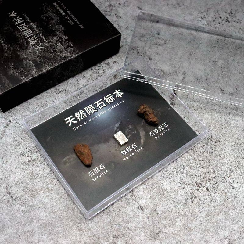 天然化石矿石陨石牙齿植物狼鳍鱼昆虫古生物化石科普教学标本摆件,淘宝优惠券,粉丝福利购,淘宝优惠卷