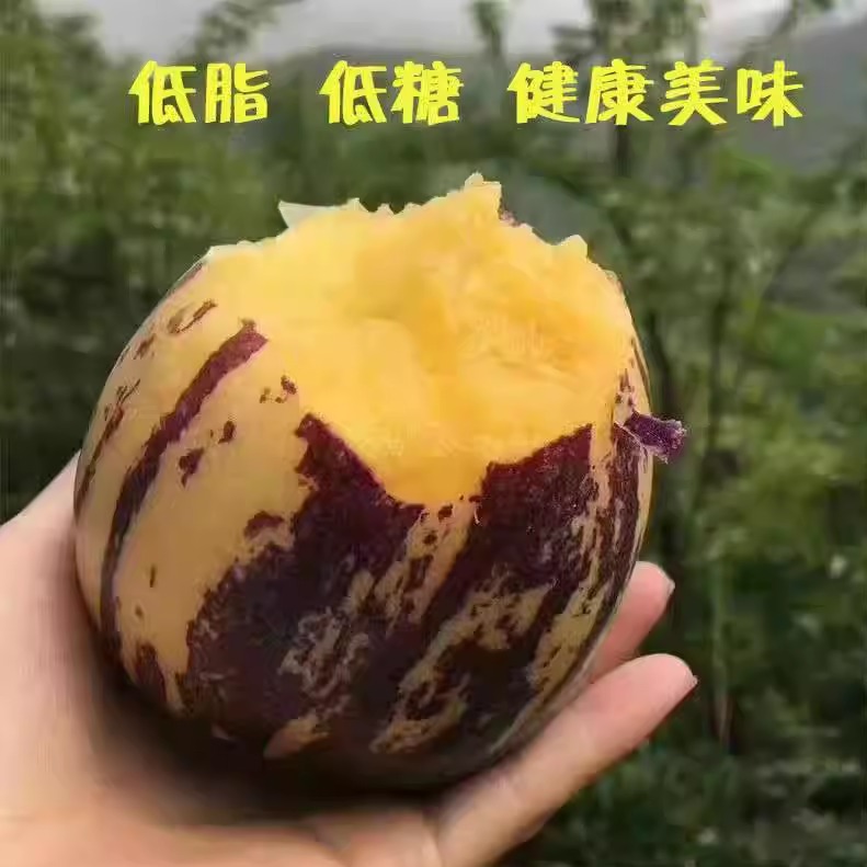 沙漠人参果甘肃民勤黄肉应季新鲜人生果低糖孕妇水果