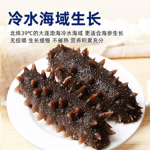 【东上御品】 即食海参500g*2袋（两种规格选择）