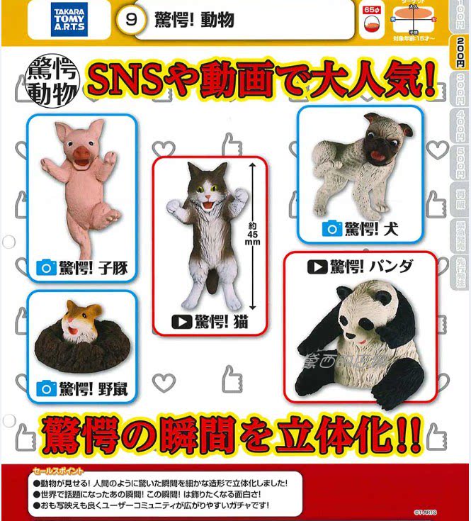 日本动物tomy 新人首单立减十元 21年10月 淘宝海外