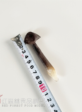 仿真蔬菜黑皮鸡枞菌菇、菌类蘑菇火锅食品模型样品菜酒店摆件