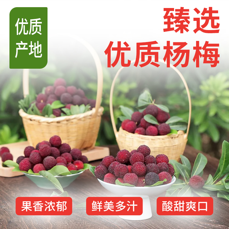 100%NFC冰杨梅汁1.25升大瓶装无添加色素防腐剂nfc100果汁一整箱 - 图1