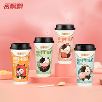 (Live Exclusive) fragrant flutter with a pop pop Bull Milk Tea 12 Cup Mixed Taste Whole Box Cheese pop Bull Milk Tea