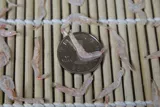 Креветка кожа сухая, не добавляя консерванты свежие детские креветки кожа рыбака рыбак.