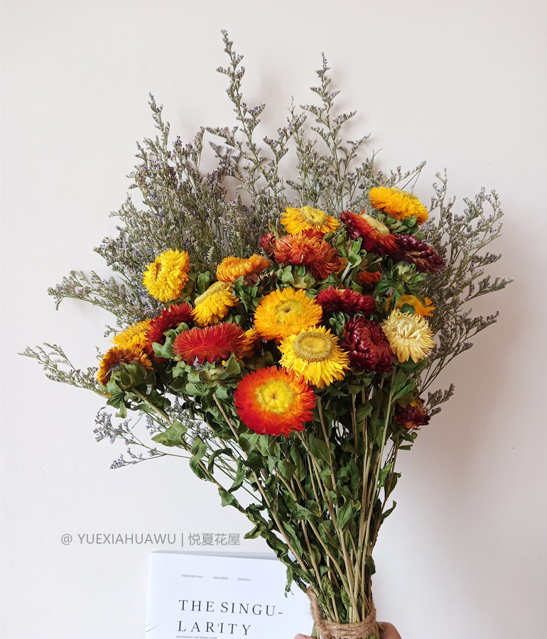 干花花束棉花松果尤加利叶ins北欧风家居装饰壁挂墙客厅摆设花束 怎么样参数评价晒图质量好不好 买得值