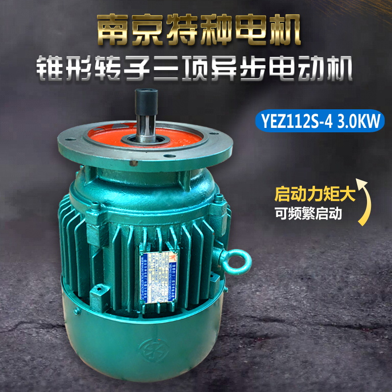 南京特种电机YEZ112S-4/3.0KW摆线针轮减速机YEZ电机YEZ112L4.5KW - 图0