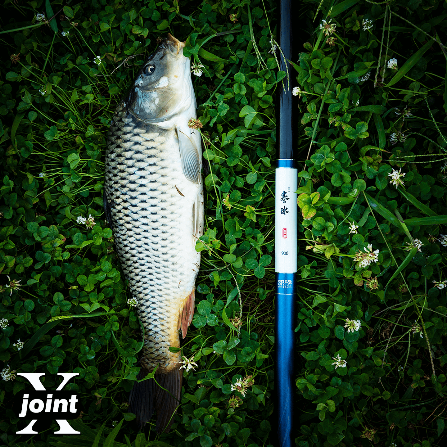 威海工厂直销特价名牌台钓鱼竿手杆长节炮竿打窝超轻超硬19调28调,淘宝优惠券,粉丝福利购,淘宝优惠卷