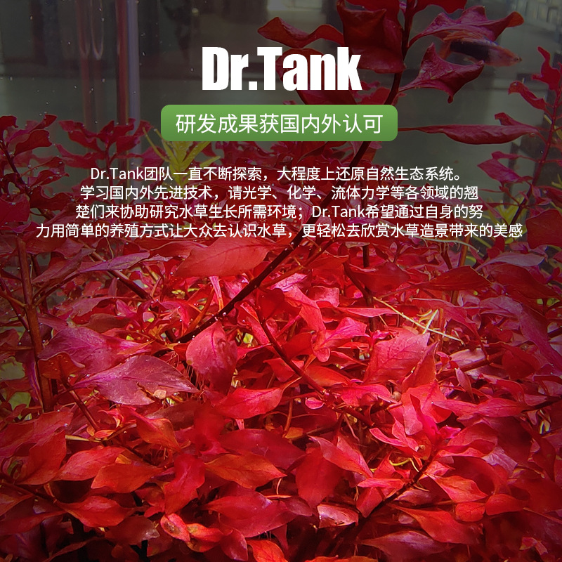 Dr.tank坦克水草鱼缸净水剂片除蓝绿藻锭片除蜗牛涡虫基肥根肥片 - 图2