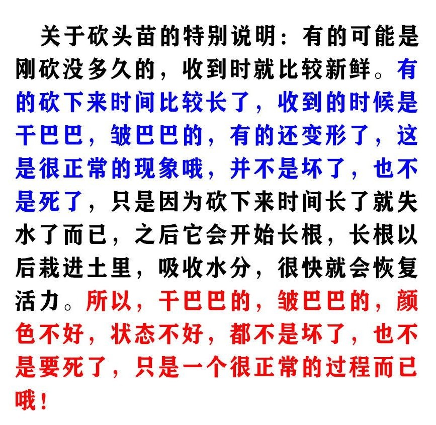 120种多肉砍头苗可以自选品质好无根肉肉贵货种苗盆栽易养活-图2