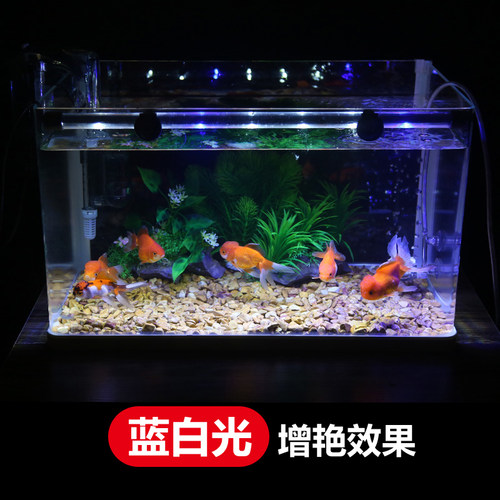 鱼缸灯led灯照明水族箱潜水灯水草灯防水龙鱼灯管三基色七彩增艳 - 图1